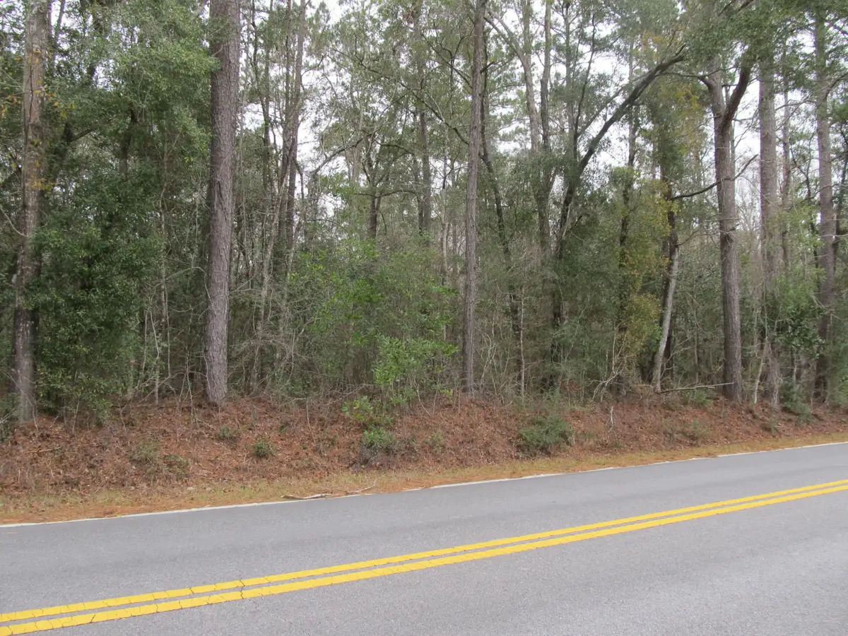 10 acres Co Highway 183, Ponce De Leon, FL 32455 - Image #1