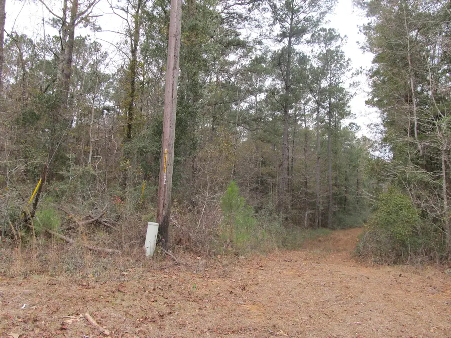 10 acres Co Highway 183, Ponce De Leon, FL 32455 - Image #3