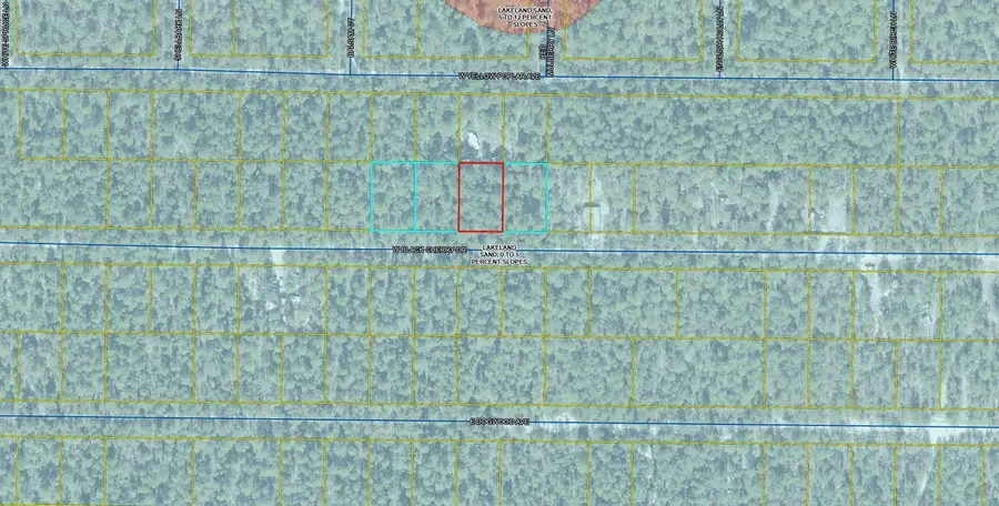 Lot 44 W Black Cherry Drive, Defuniak Springs, FL 32433 - Image #2