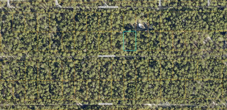Lot 46 W Black Cherry Drive, Defuniak Springs, FL 32433 - Image #2