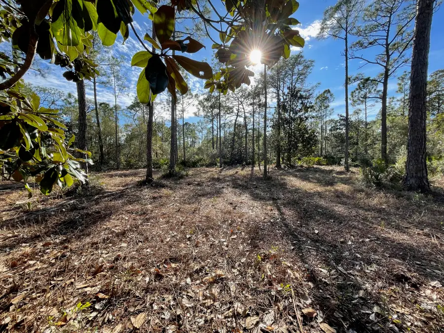 Lot 4 Mario Road, Santa Rosa Beach, FL 32459 - Image #2