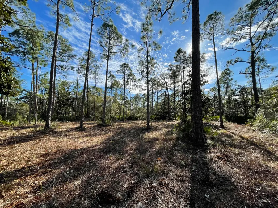Lot 4 Mario Road, Santa Rosa Beach, FL 32459 - Image #3