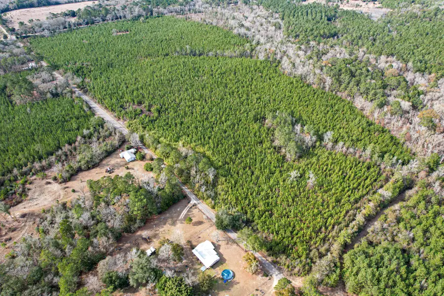 TBD State Hwy 81, Ponce De Leon, FL 32455 - Image #3