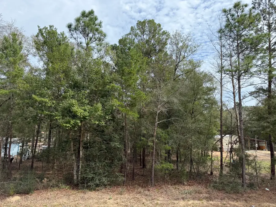 TBD Owens Road, Defuniak Springs, FL 32433 - Image #2