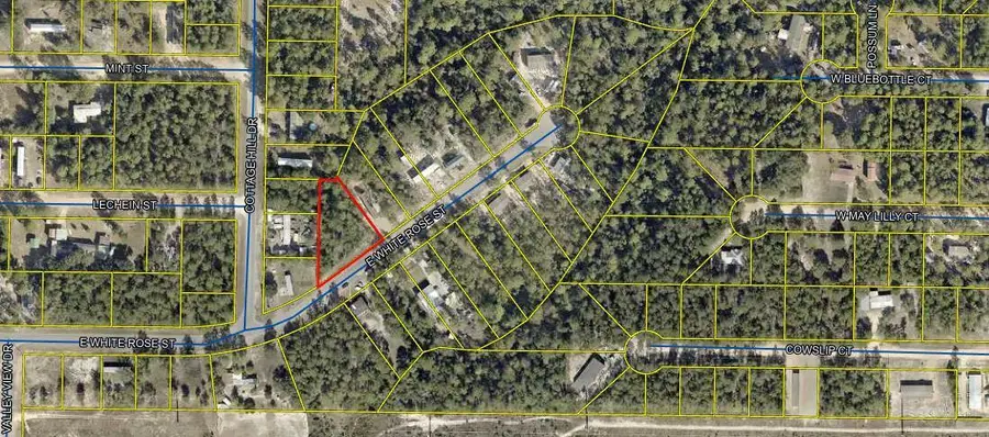 1 E. White Rose Street, Paxton Darlington, FL 32434 - Image #2