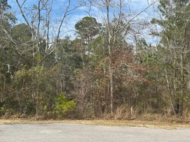 Lot 76 Harbour Trace, Freeport, FL 32439 - Image #3