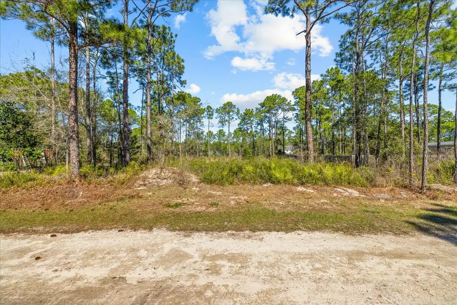 Lot 12 Duffy Lane, Santa Rosa Beach, FL 32459 - Image #3