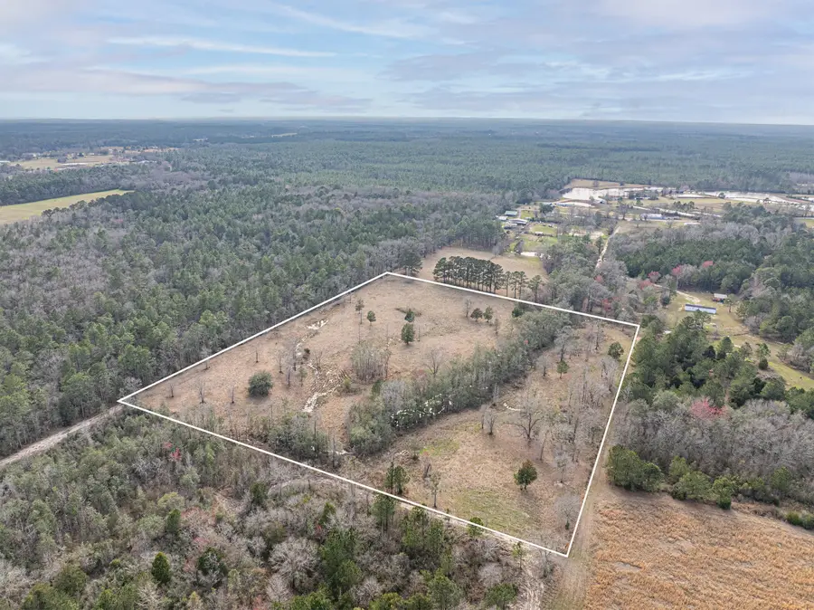 X Thames Road, Baker, FL 32531 - Image #3