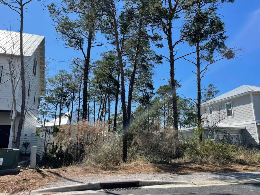 51 Ibis Drive, Santa Rosa Beach, FL 32459 - #3