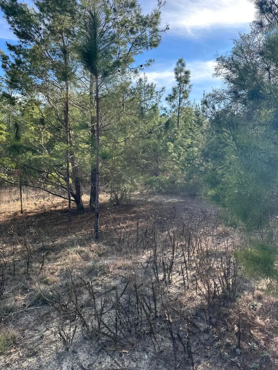 5225 Kimp Road, Crestview, FL 32539 - Image #2