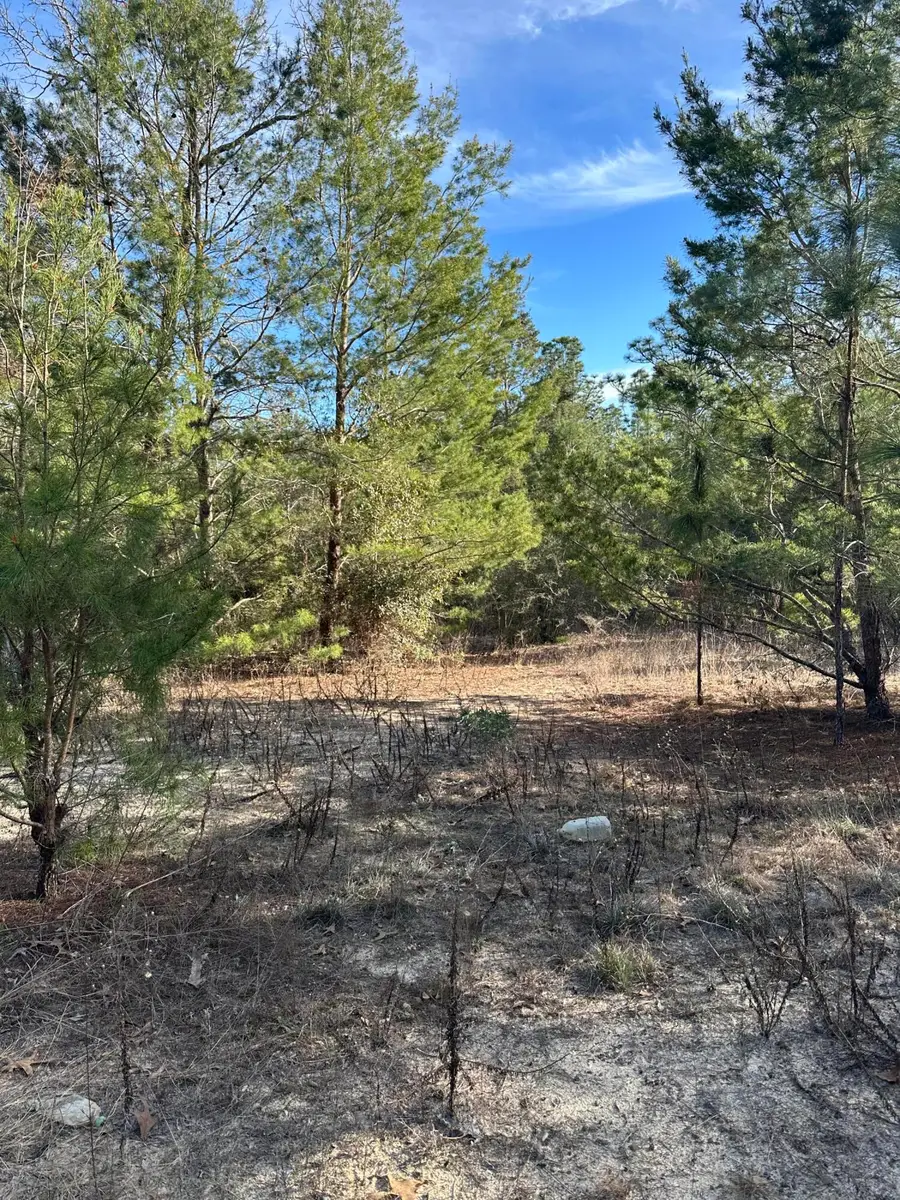 5225 Kimp Road, Crestview, FL 32539 - Image #3