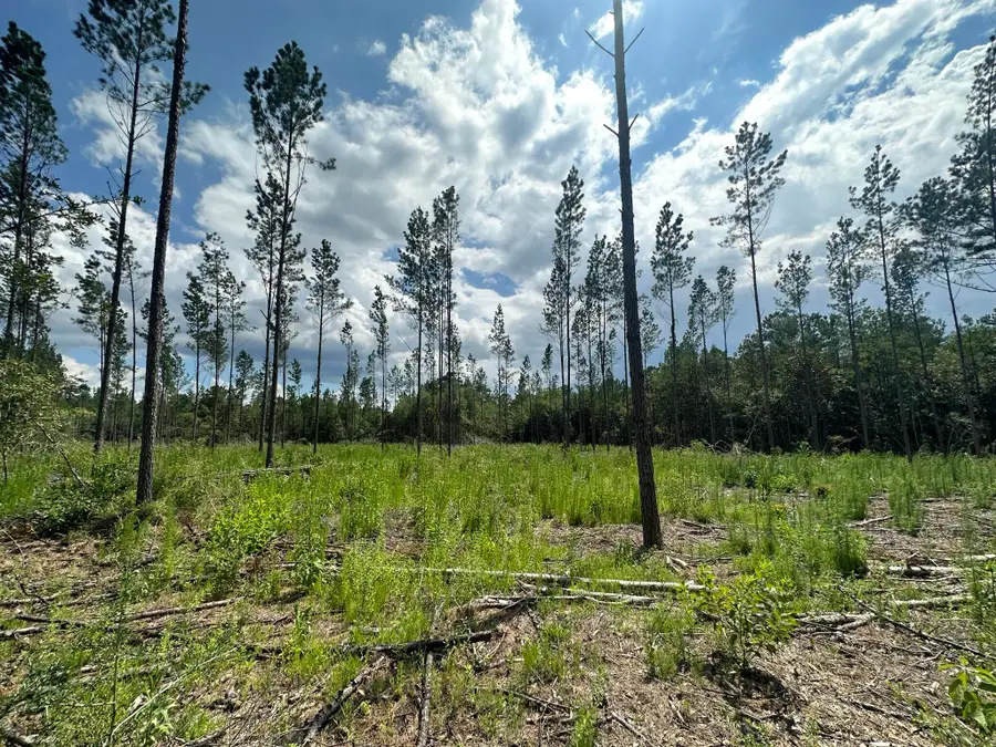 Parcel A Yellow River Baptist Church Road #22 AC+/-, Baker, FL 32531 - Image #2