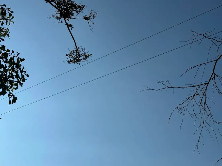 Parcel A Yellow River Baptist Church Road #22 AC+/-, Baker, FL 32531 - Image #3