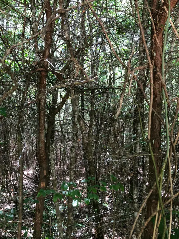 Parcel C Yellow River Baptist Church Road, Baker, FL 32531