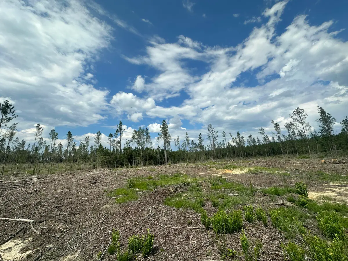 Parcel B Yellow River Baptist Church Road, Baker, FL 32531 - Image #1