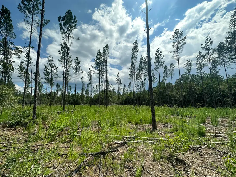 Parcel B Yellow River Baptist Church Road, Baker, FL 32531 - Image #2