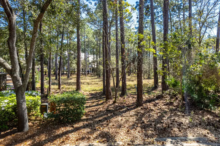 3114 Merion Drive, Miramar Beach, FL 32550 - Image #2