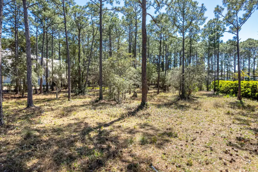 3114 Merion Drive, Miramar Beach, FL 32550 - Image #3