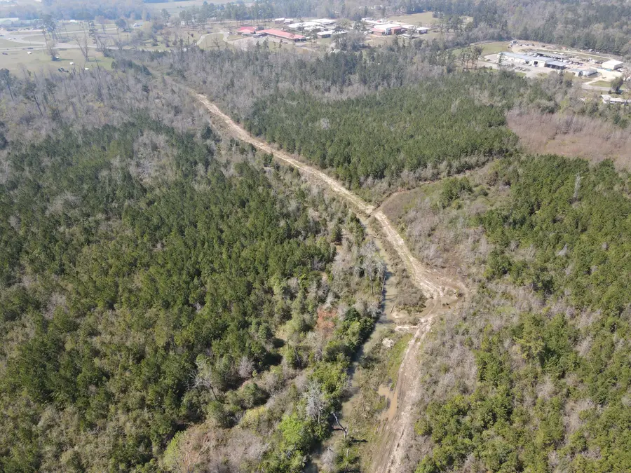 58+/ Acres South Street, Marianna, FL 32448 - Image #3