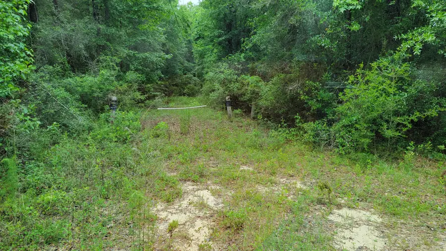 Lot 5 River Loop Drive, Crestview, FL 32536 - Image #2