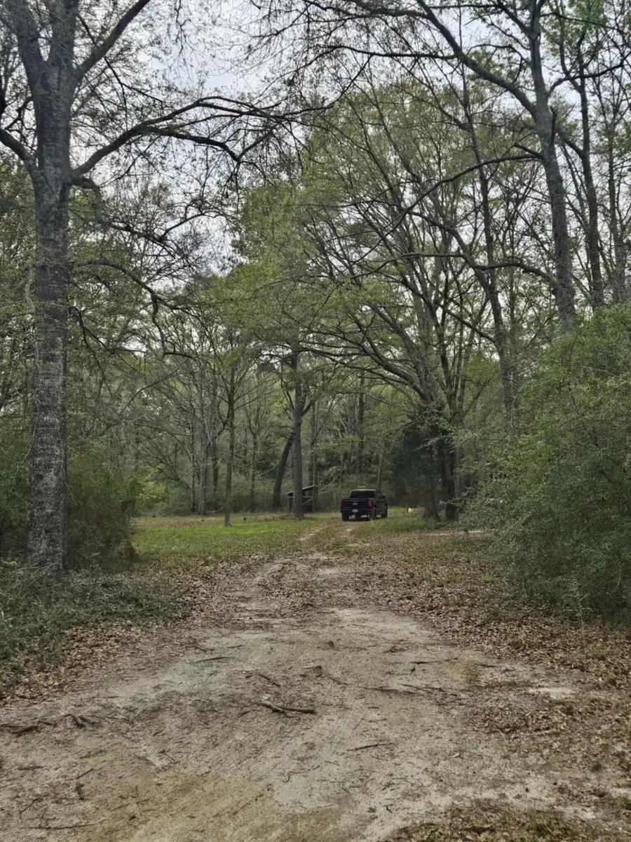 1400 Grant Road Road, Ponce De Leon, FL 32455 - Image #2