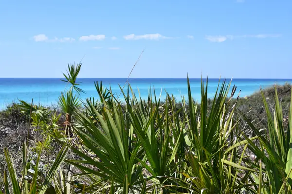 206 Henderson Resort Way #5202, Destin, FL 32541