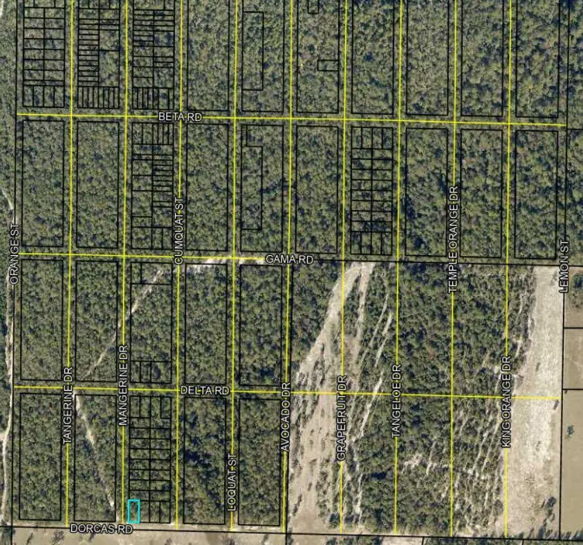 Lots 1 & 2 Dorcas Road, Crestview, FL 32539 - Image #1