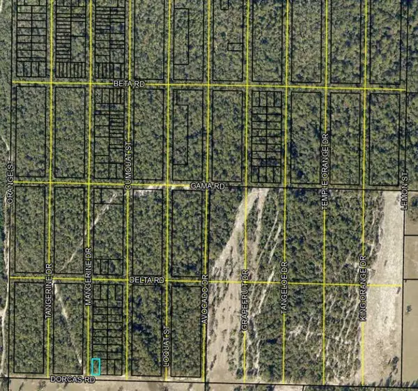 Lots 1 & 2 Dorcas Road, Crestview, FL 32539