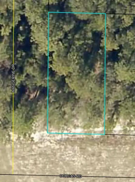 Lots 1 & 2 Dorcas Road, Crestview, FL 32539 - Image #2