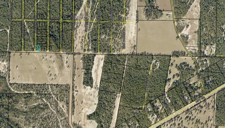 Lots 1 & 2 Dorcas Road, Crestview, FL 32539 - Image #3