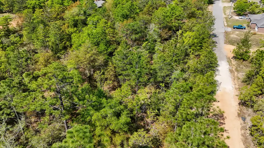 TBD Crocus East Avenue, Defuniak Springs, FL 32433 - Image #3