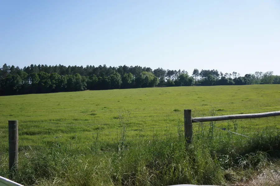 7784 Hwy 393, Laurel Hill, FL 32567 - Image #2