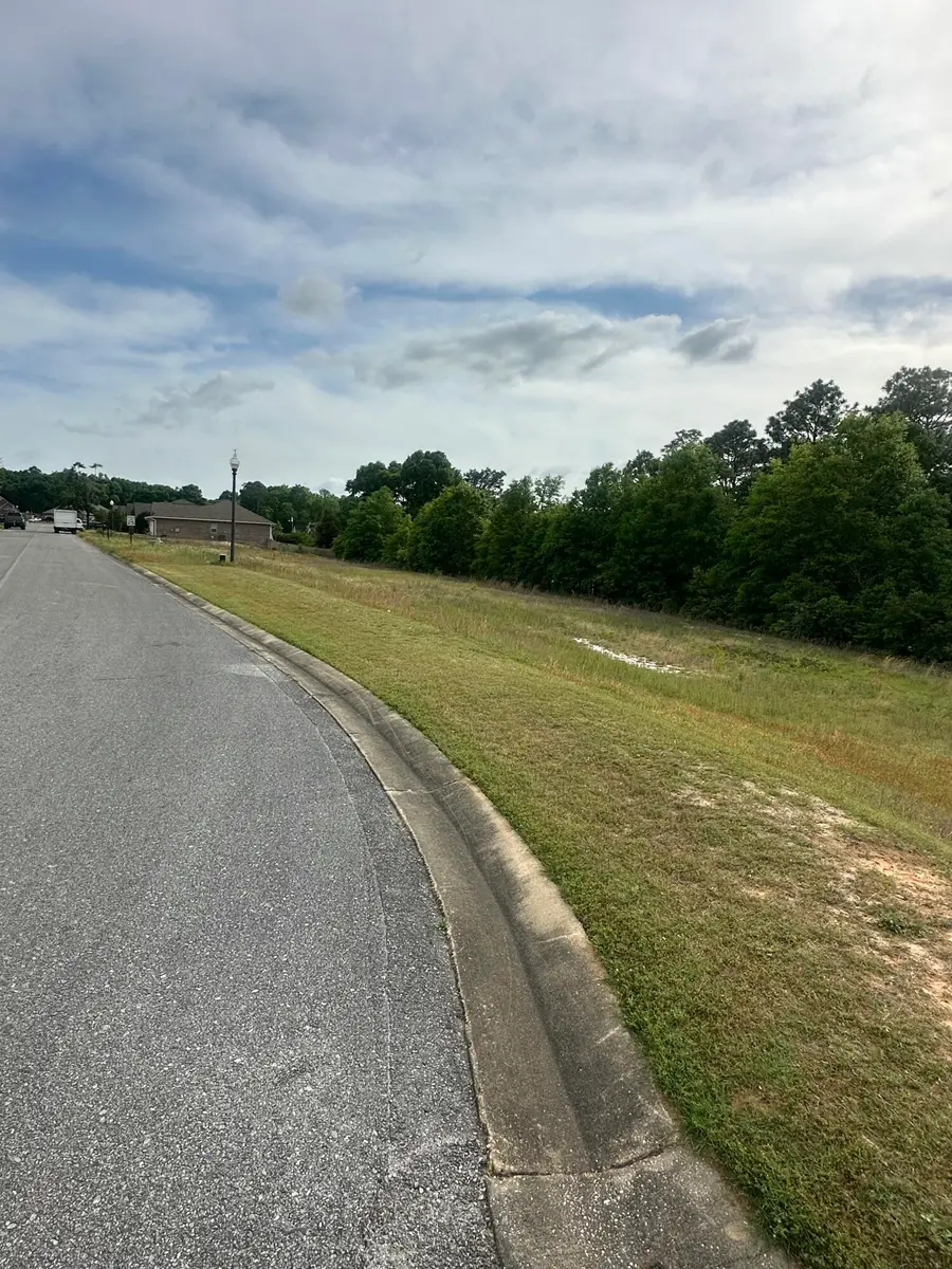Lot 22 Paradise Palm Circle, Crestview, FL 32536 - #3