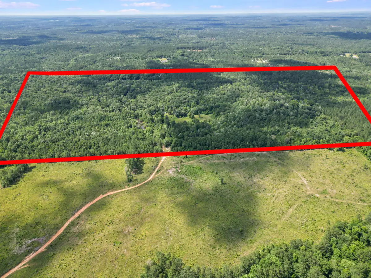 92 Hummingbird Lane, Ponce De Leon, FL 32455 - Image #1