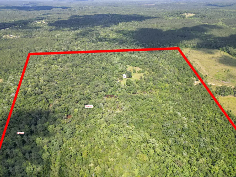 92 Hummingbird Lane, Ponce De Leon, FL 32455 - Image #2