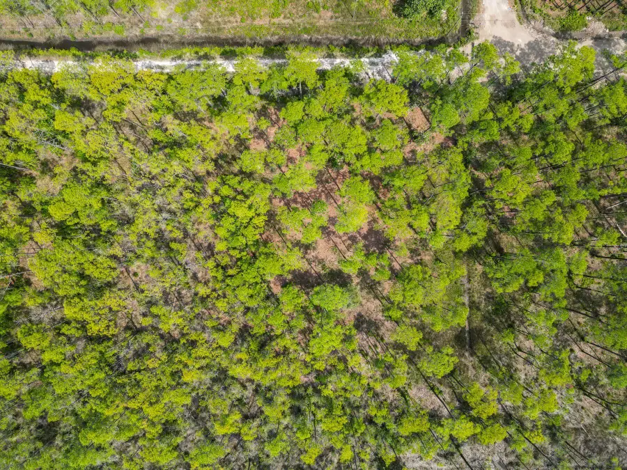 TBD 13th Street, Santa Rosa Beach, FL 32459 - Image #3