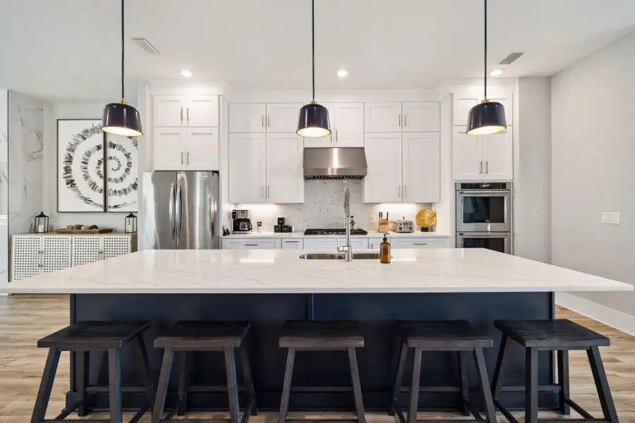 19 W Majestic Palm Drive, Inlet Beach, FL 32461 - Image #2