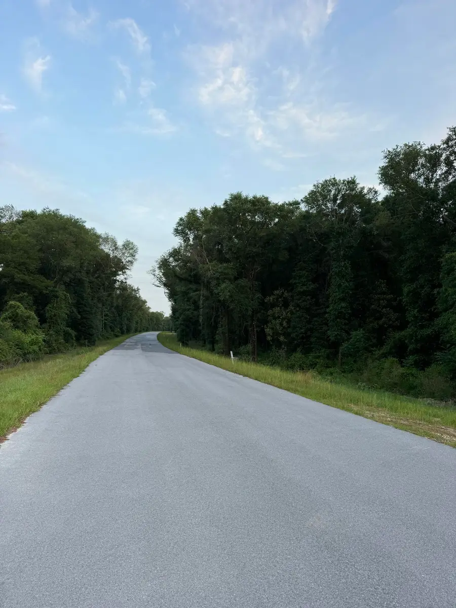 Lot 38 Holly Lake Court, Defuniak Springs, FL 32433 - Image #3