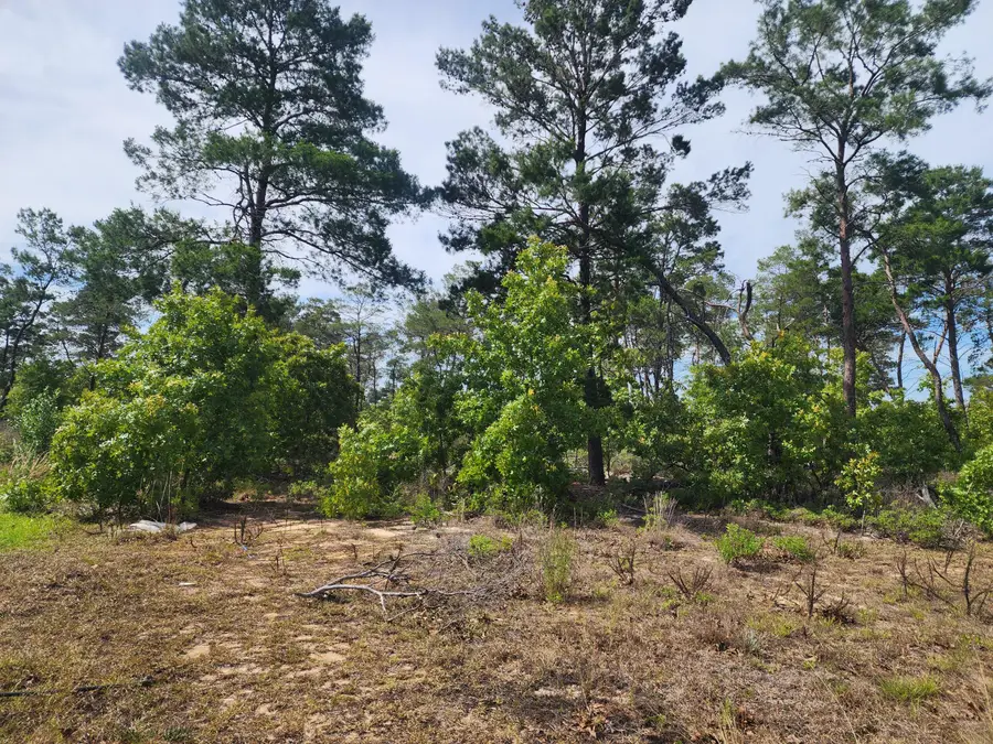 60 Corkwood Court #Ph 5 lot 9, Freeport, FL 32439 - #2