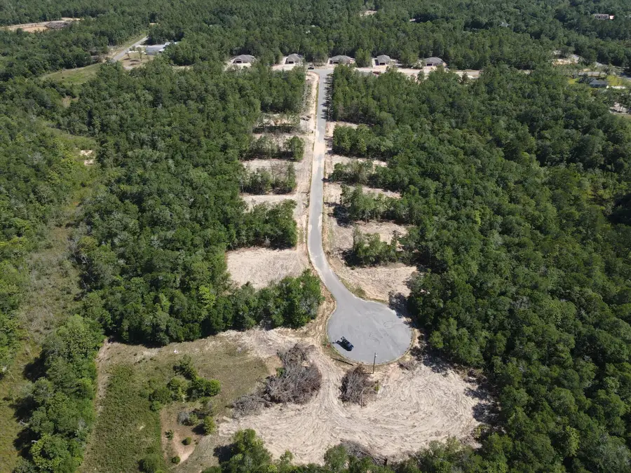 Lot 8 Black Bear Court, Defuniak Springs, FL 32435 - Image #2
