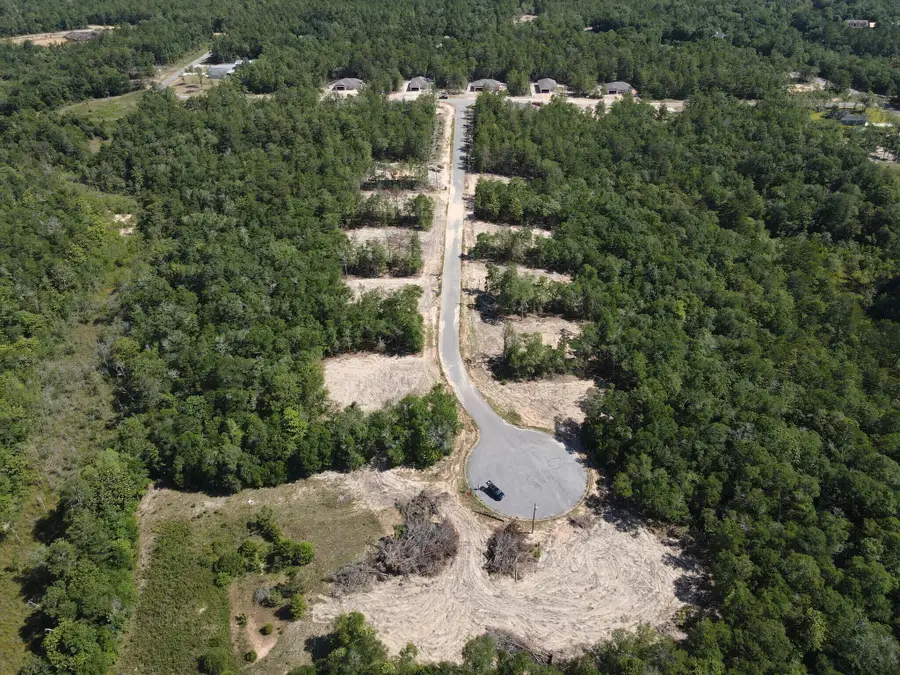 Lot 16 Black Bear Court, Defuniak Springs, FL 32435 - Image #2