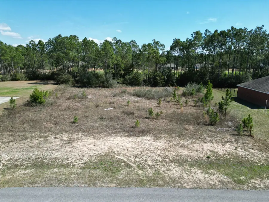 12 E Club House Drive, Freeport, FL 32439 - #3