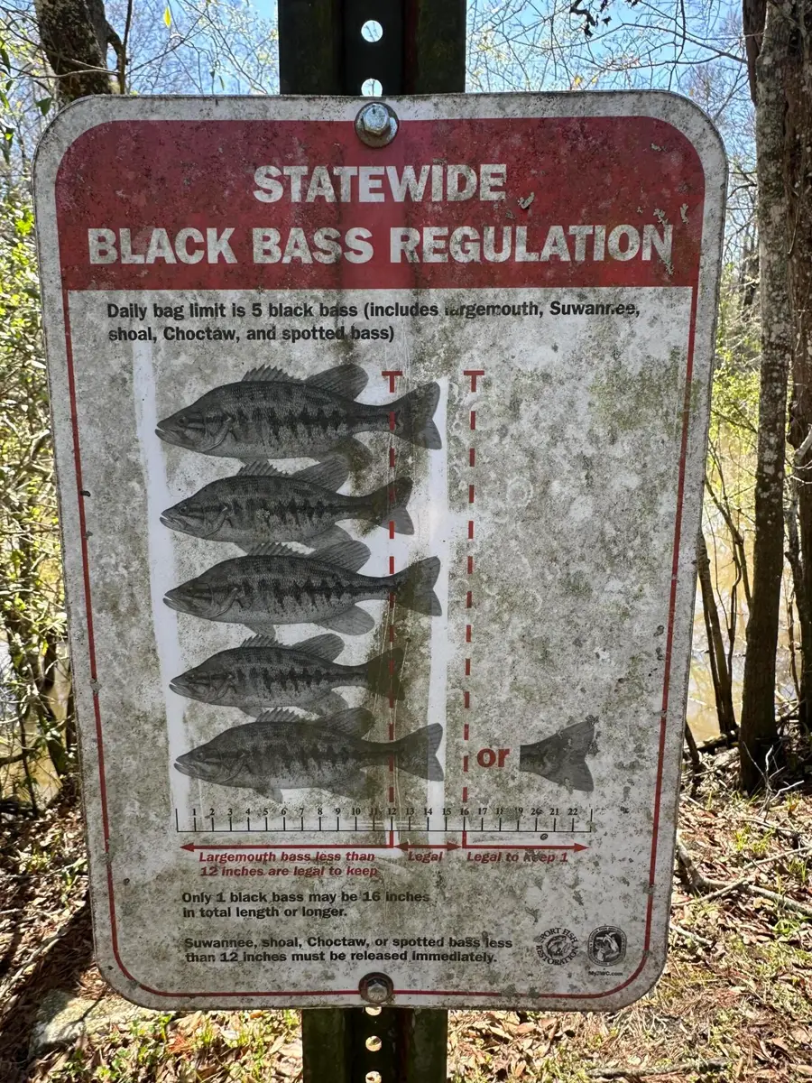 Lot 3 Coon Bottom Estate, Ponce De Leon, FL 32455 - Image #2