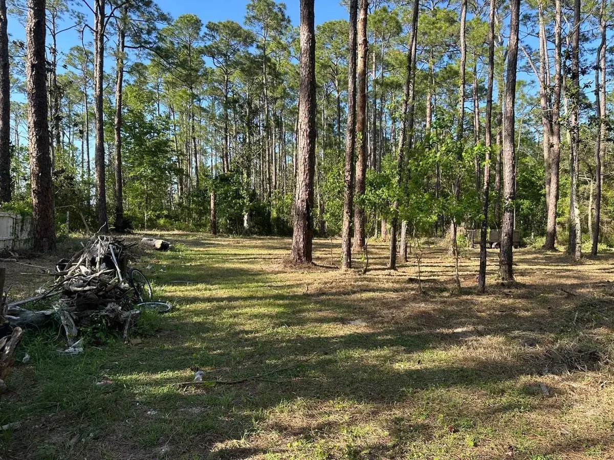 Lots 13-15 Harley Rd, Santa Rosa Beach, FL 32459 - #1