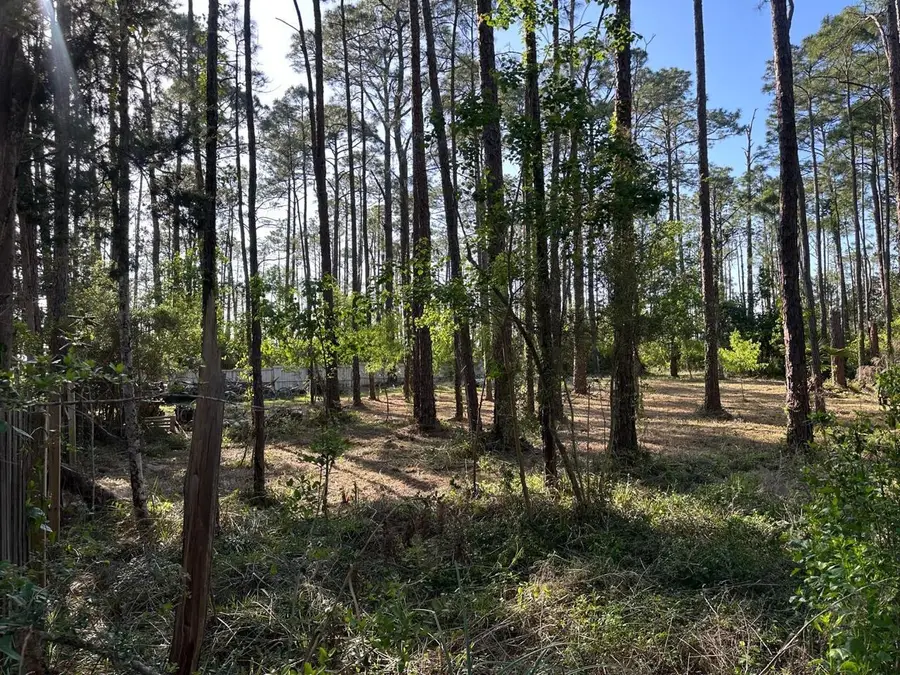 Lots 13-15 Harley Rd, Santa Rosa Beach, FL 32459 - #2