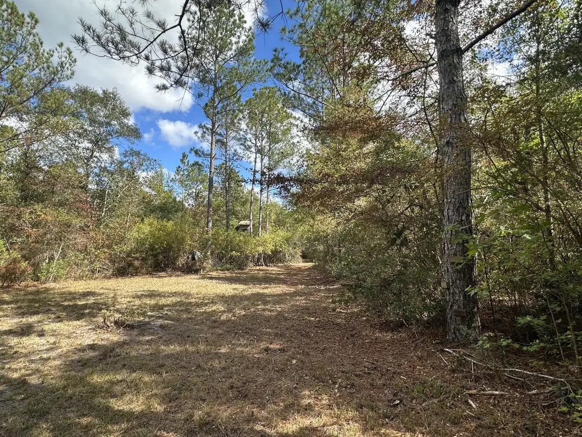 20 AC Lacey Lane, Crestview, FL 32536 - Image #1