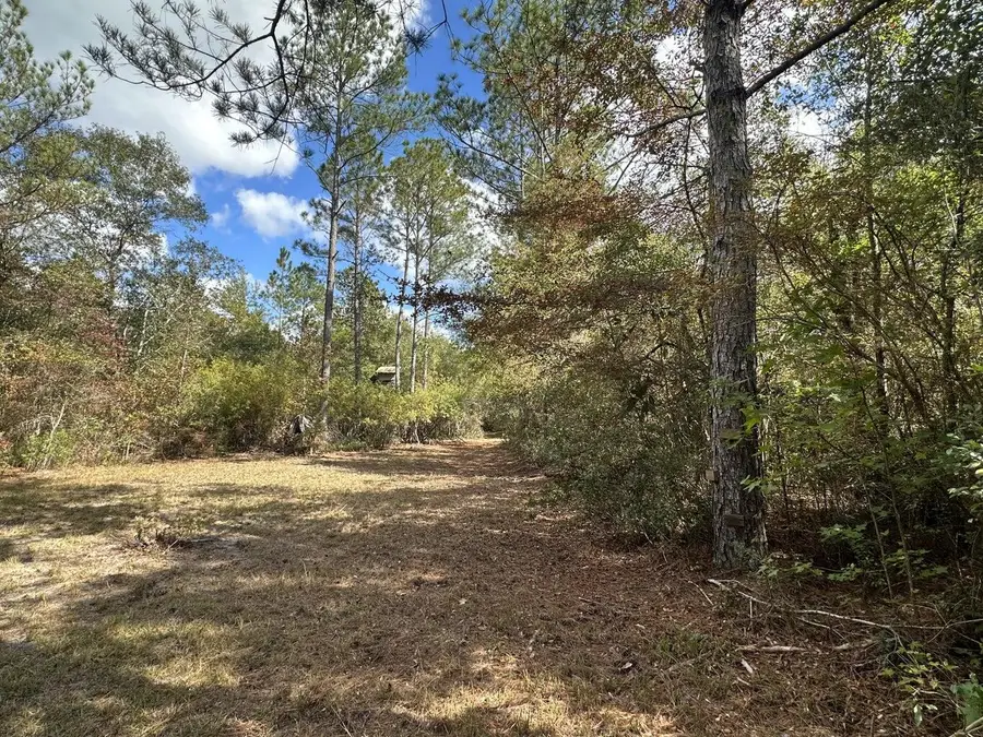 20 AC Lacey Lane, Crestview, FL 32536 - Image #2