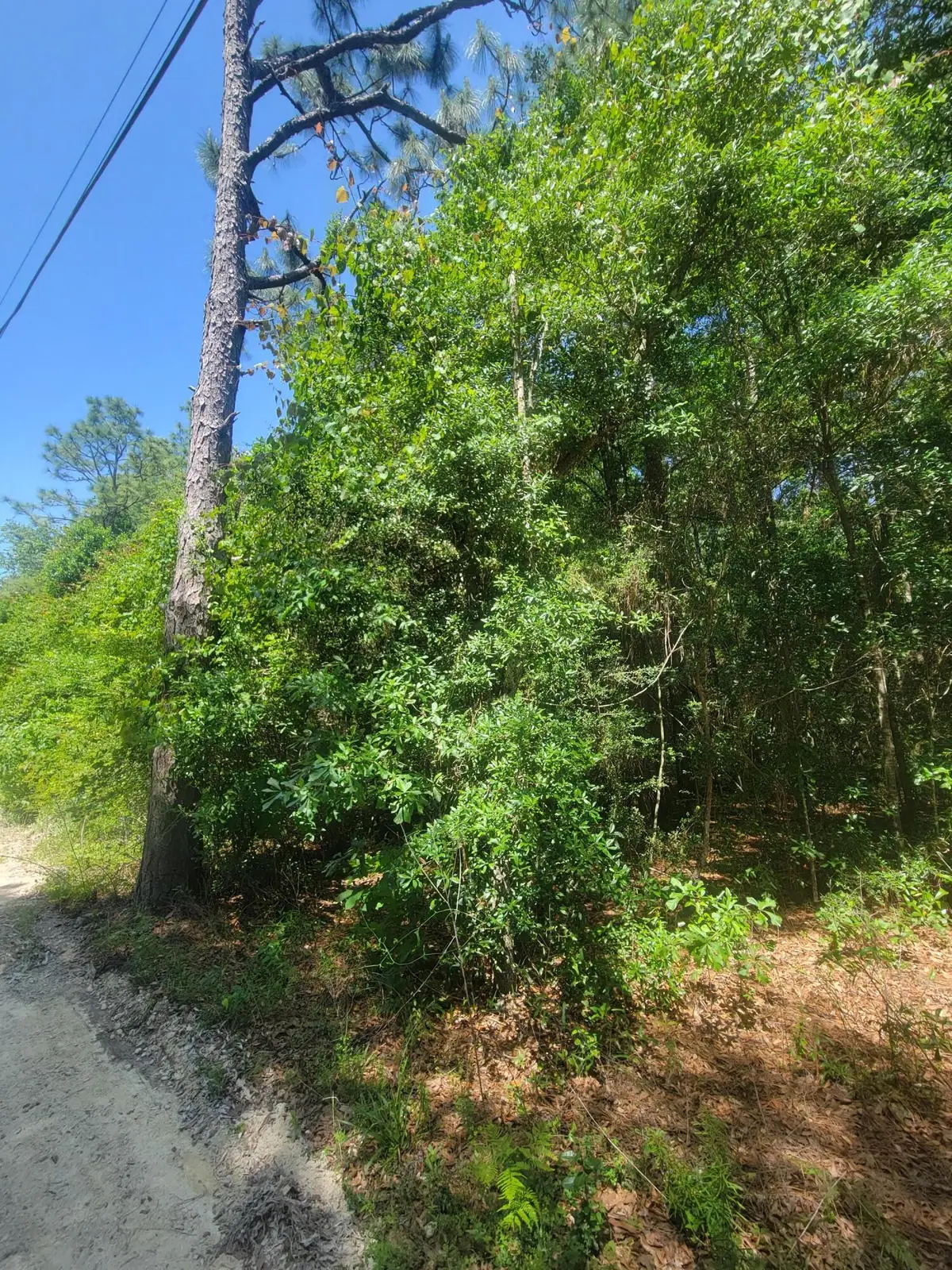 3.2 acres Paul Road, Defuniak Springs, FL 32433 - Image #1