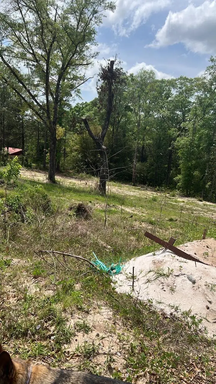 1.94 acres Lakewood Dr, Defuniak Springs, FL 32435 - #3