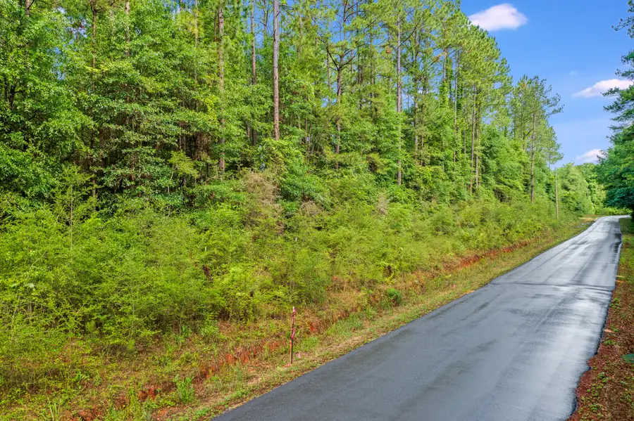 6.12 AC Clary Road, Laurel Hill, FL 32567 - Image #3